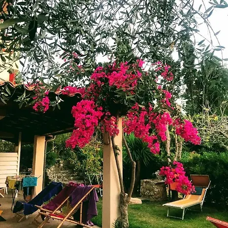 Michelino Apartment Parghelia