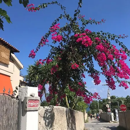 Michelino