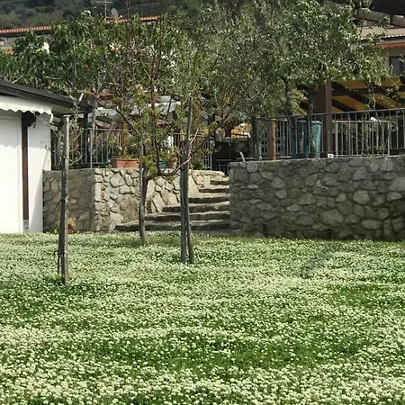 Michelino