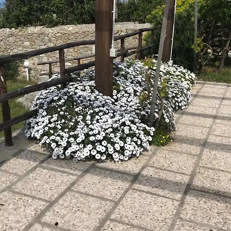 Michelino Apartment Parghelia