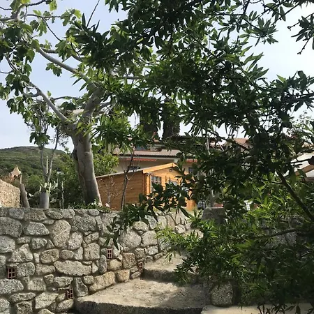 Michelino * Parghelia